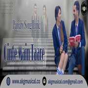 Ginte Main Taare Punjabi Song Lyrics | AkgMusical